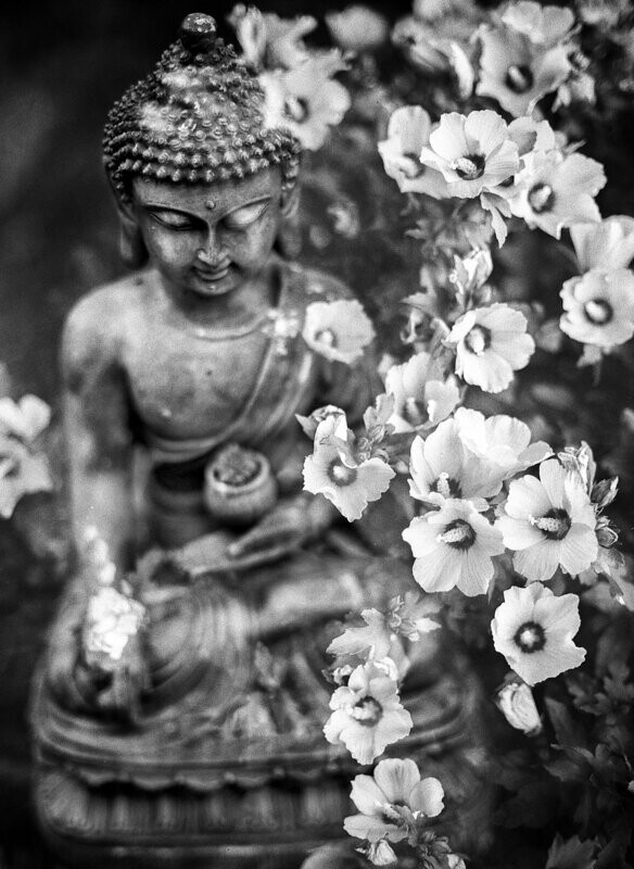 Akashic Records - Soul Reading
