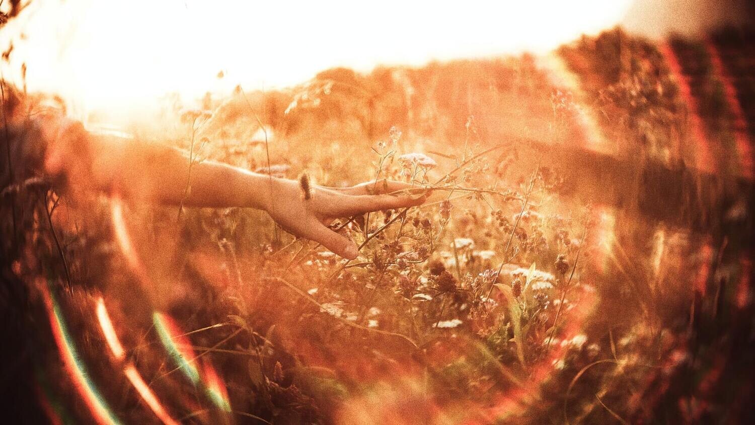 Spiritual Healer Course
