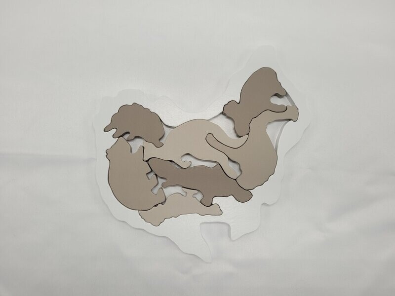 Australië puzzel