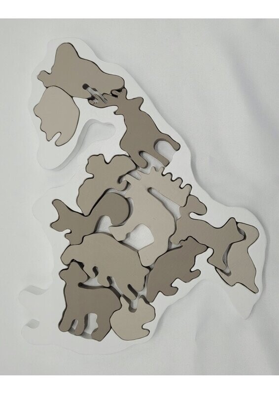 Noord Amerika puzzel