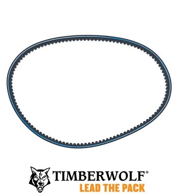 Timberwold Hydraulic Motor Drive Belt P0002163