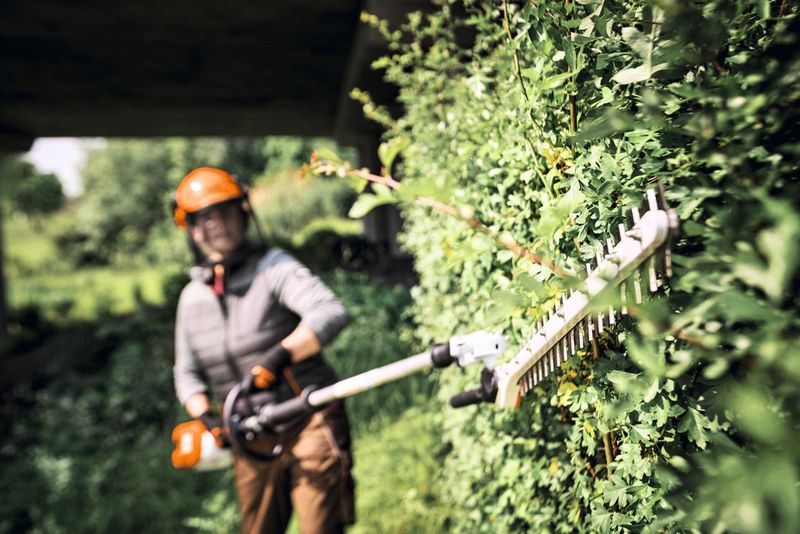 STIHL HLA 40 Cordless Long-Reach Hedge Trimmer