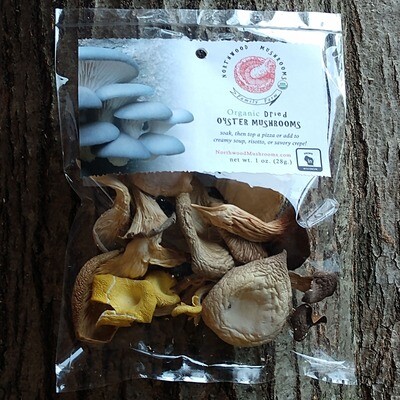 Dried Mushrooms 1 oz. - Oysters