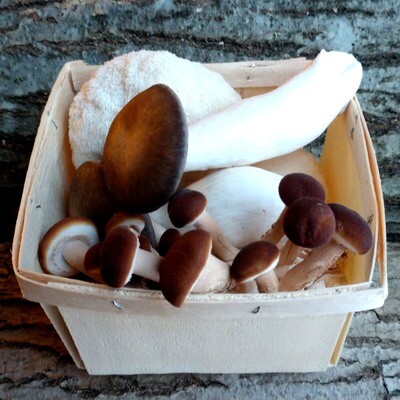 Fresh Mushrooms 8 oz. - Quart Mix