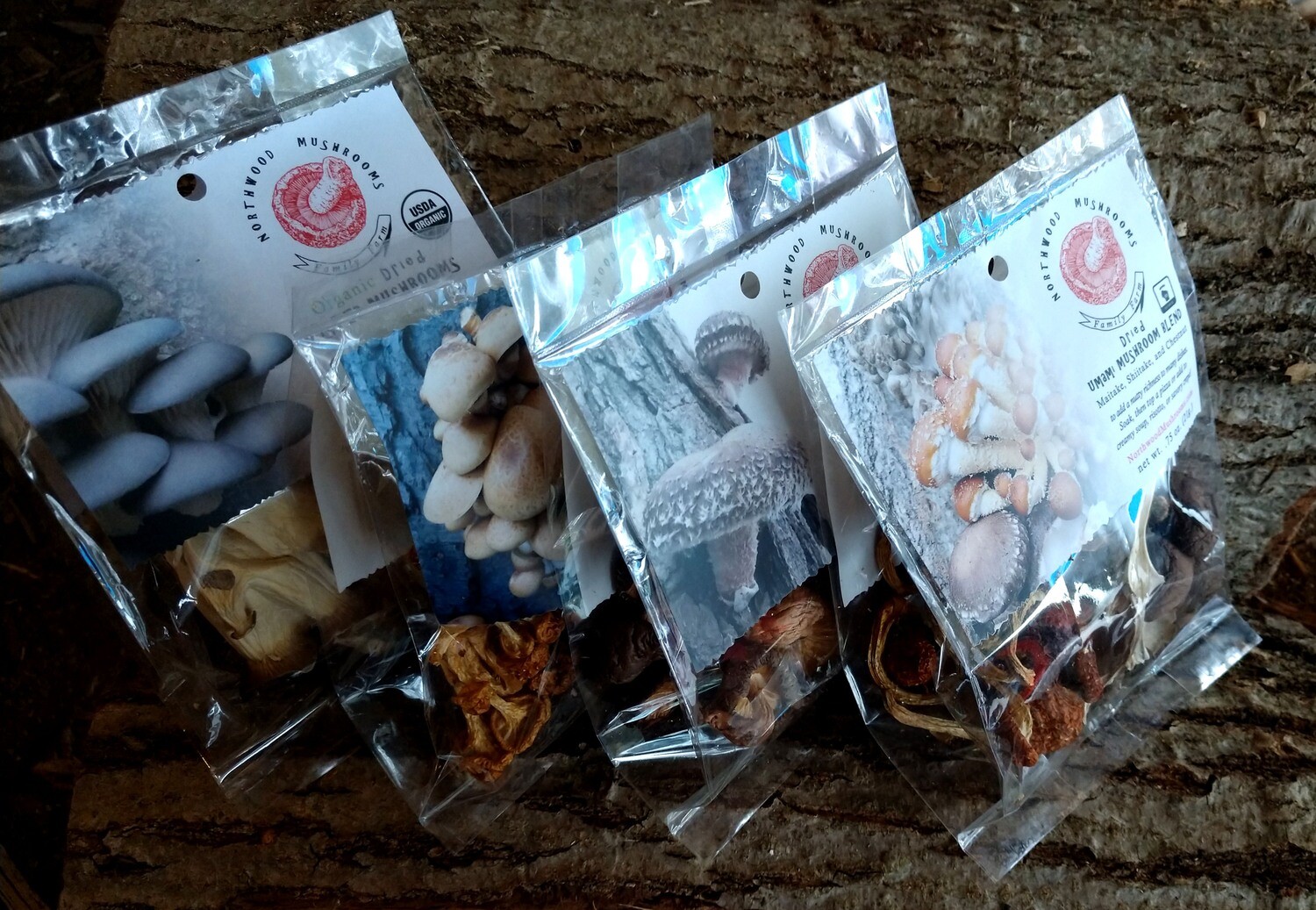 Dried Mushrooms - Sampler - Stock up!