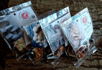 Dried Mushrooms - Sampler - Stock up!