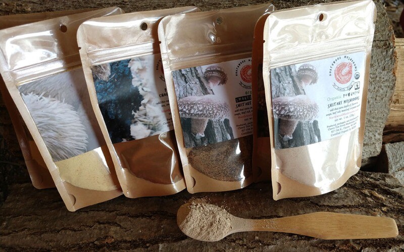 Powdered Mushrooms - Sampler - Stock up!