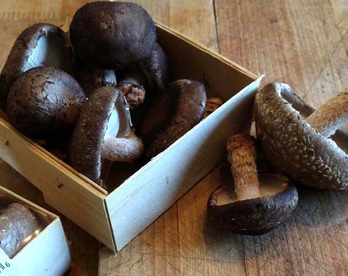 ​Fresh Mushrooms - Shiitake