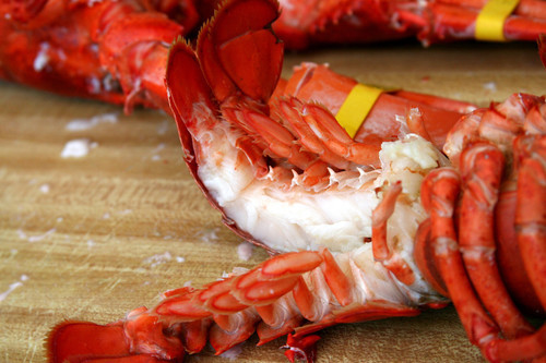 Cooked Lobster (Take Out)