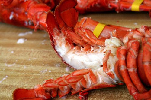 1 1/2 lb Cooked Lobster (Glenaire)