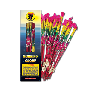 Morning Glory (6 small-Black Cat)