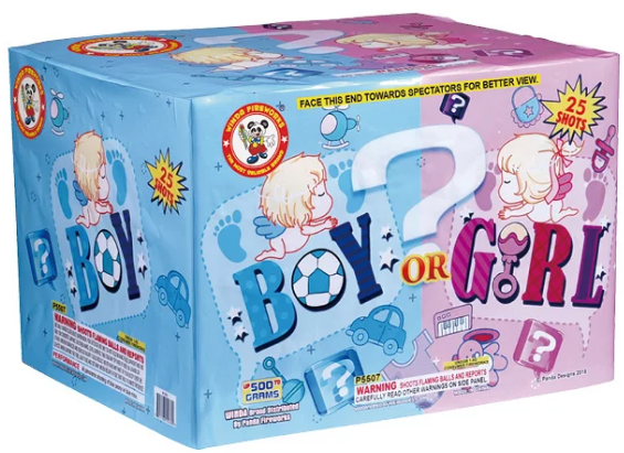 Boy or Girl (Girl) Boy or Girl (Girl)