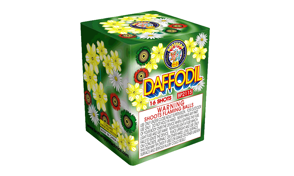 Daffodil 16s