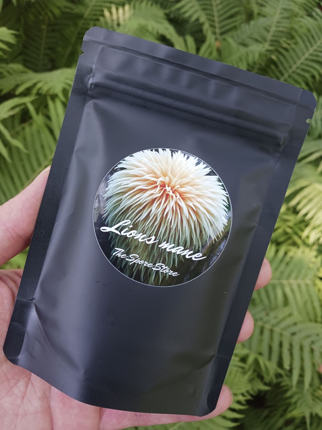 Powdered lions mane