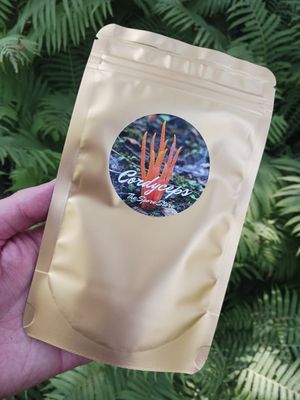 Powdered cordyceps militaris