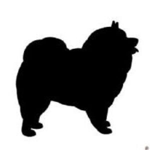 House Of Pomeranian Whelp