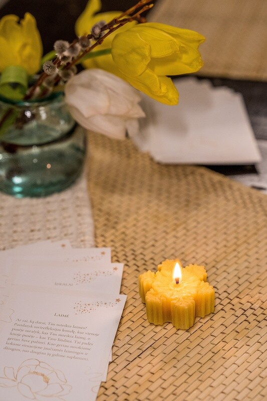 Loginis žaidimas „Koučingo įkvėpimas“