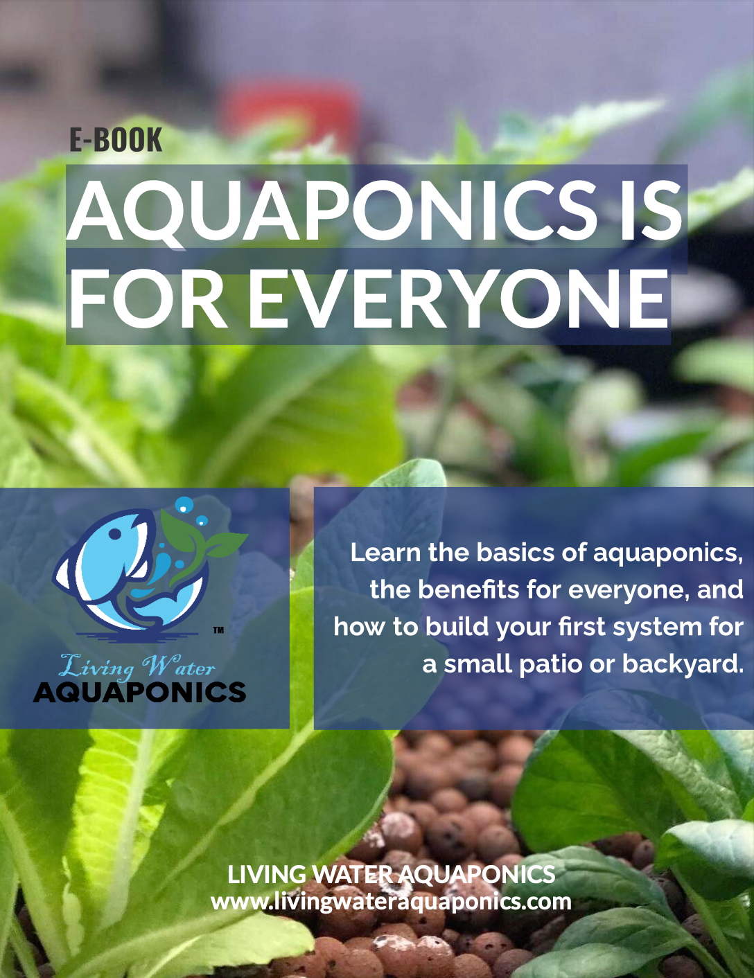Aquaponics Patio E-Book