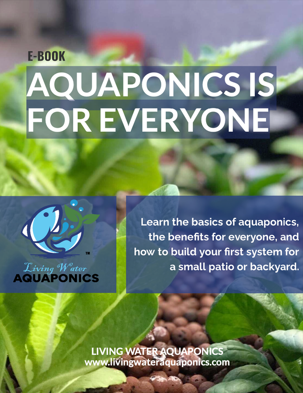Aquaponics Patio E-Book