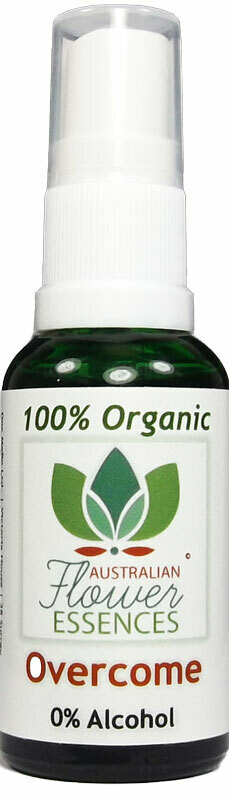 Overcome BIO Blütenessenzen Spray ohne Alkohol 30 ml