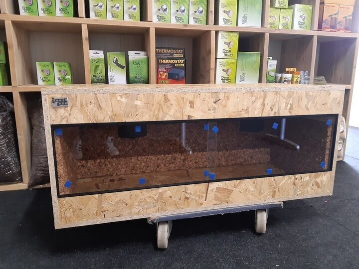 OSB3 terrarium 120/50/50 rondom anti krekel kurk achterwand