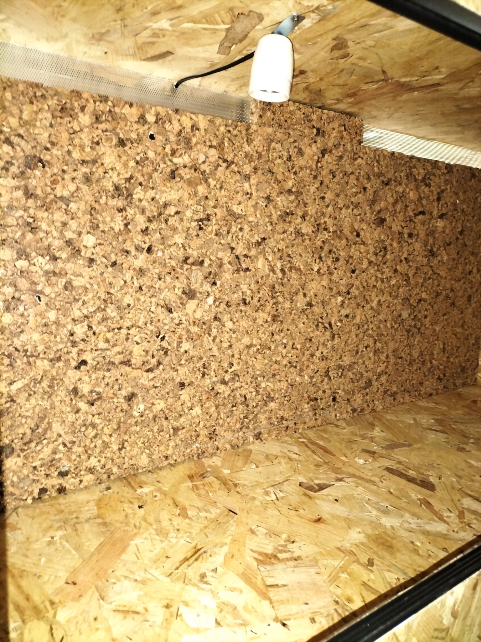 OSB3 terrarium 120/50/60 incl antikrekelkurkachterwand & Fitting