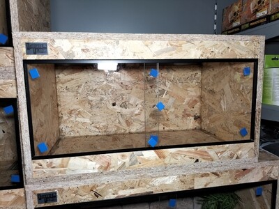 osb3 terrarium 80/40/40