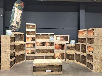 OSB3 terrarium  50/40/80