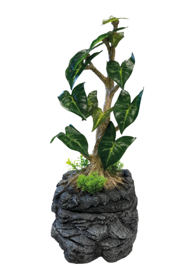 REPTO WATER DRIPPING TREE