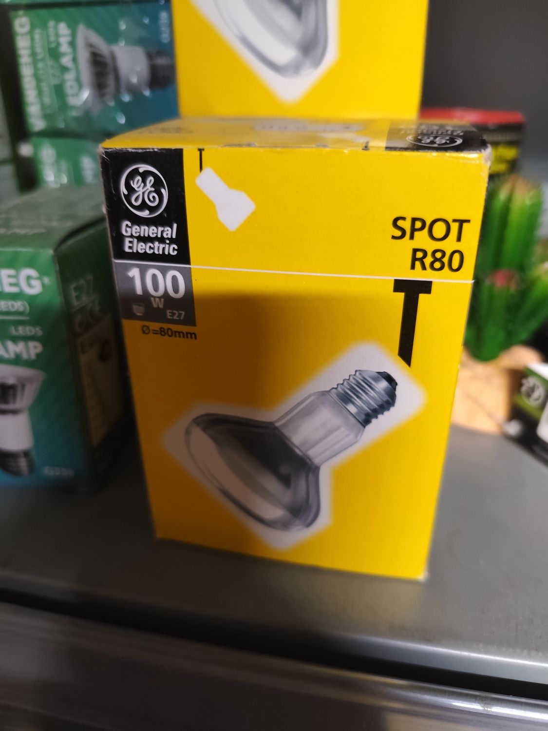 100 watt warmtelamp