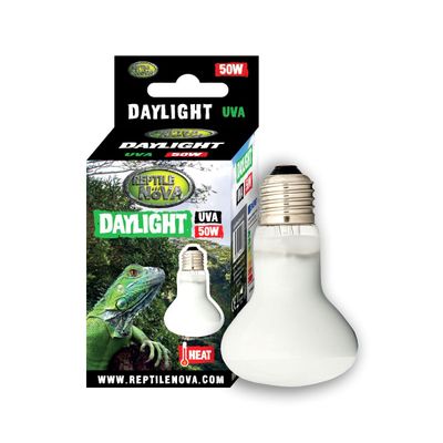 RN UVA-50W-DAYLIGHT