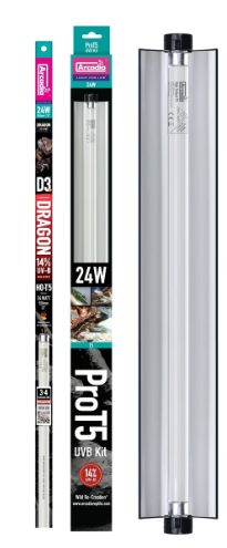 ARCADIA PRO T5 SET DRAGON 14% UVB 24 WATT