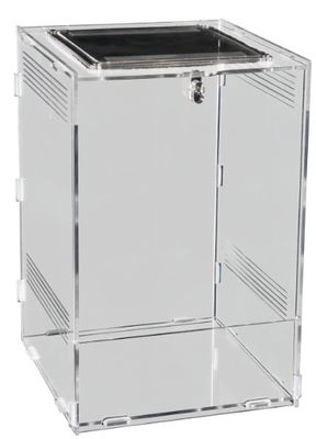 REPTO TERRA CLEAR 19,5x18,5x29