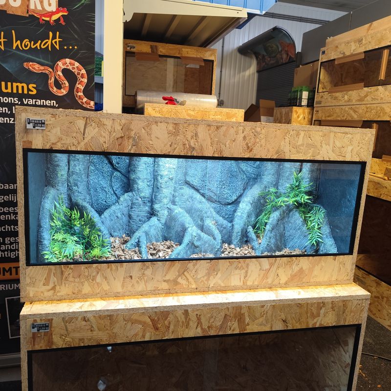 Osb3 terrarium 120/50/60 incl 3D achterwand etc.