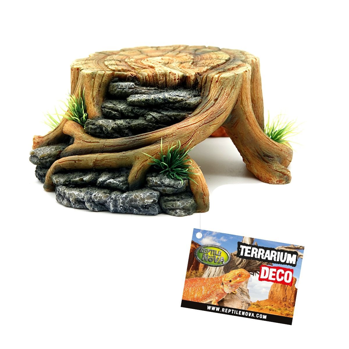 RN Boomstam Schuilgrot met plantjes