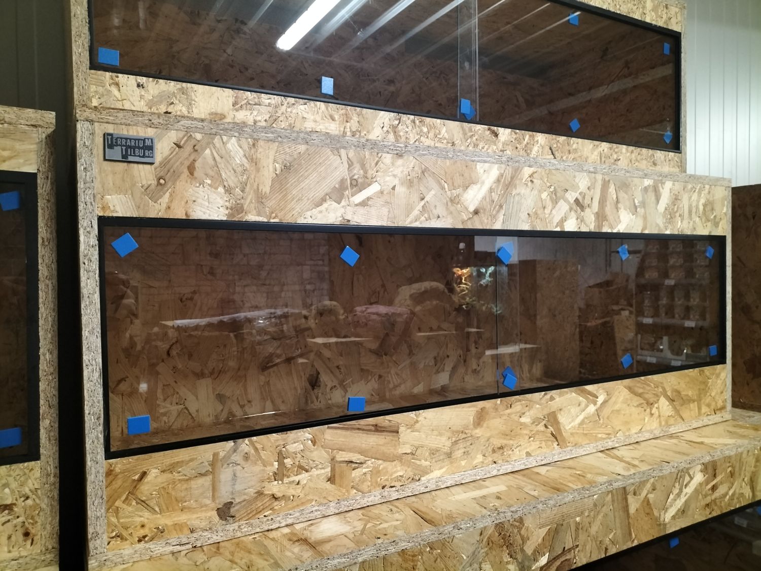 Osb3 terrarium 120/50/50.