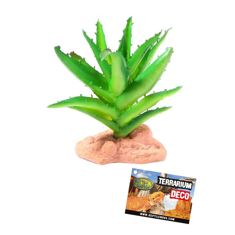 RN Plant Staand A