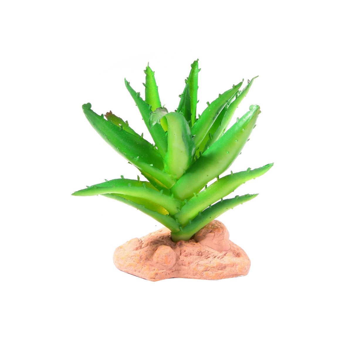 RN Plant Staand A