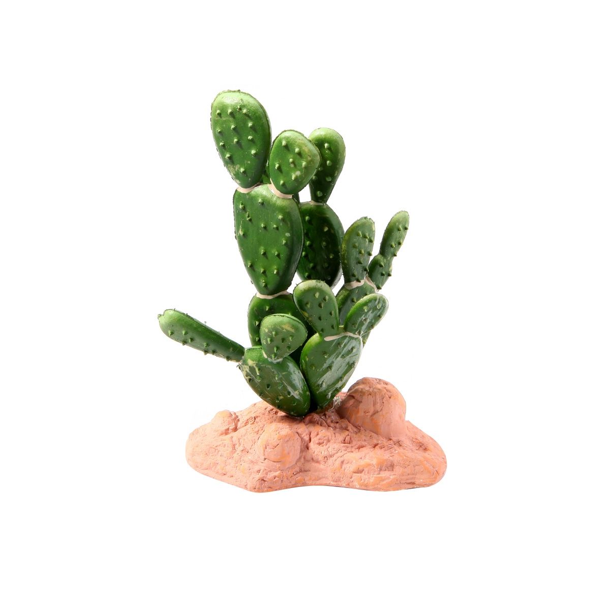 RN Cactus Staand B