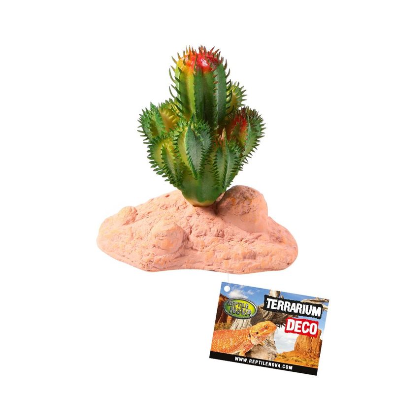 RN Plant Staand B