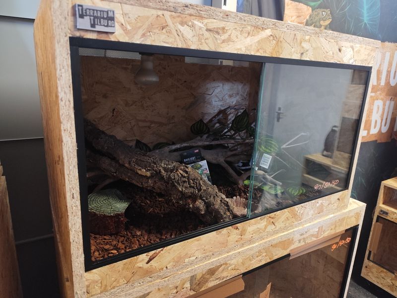 Osb3 terrarium 80/50/50 ingericht (3)
