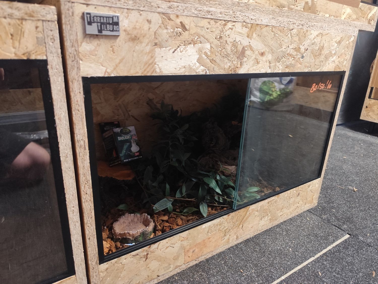 Osb3 terrarium 80/50/60 ingericht (4) Osb3 terrarium 80/50/60 ingericht (4)