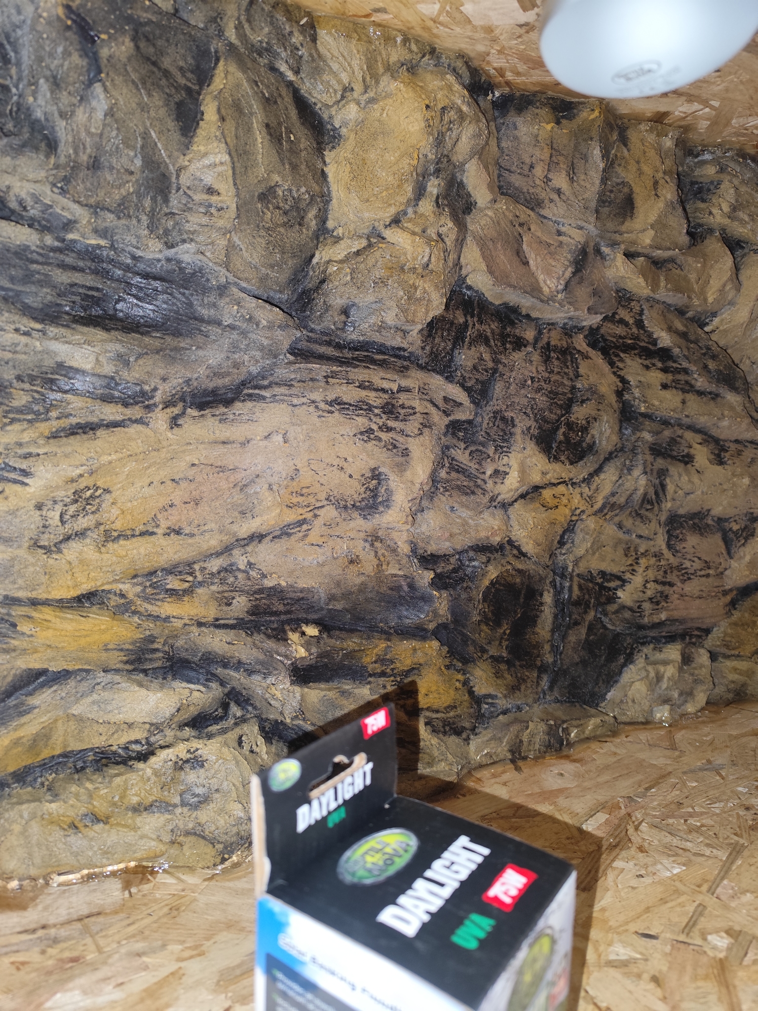 Osb3 terrarium 101/50/57,5 polyester achterwand (2)