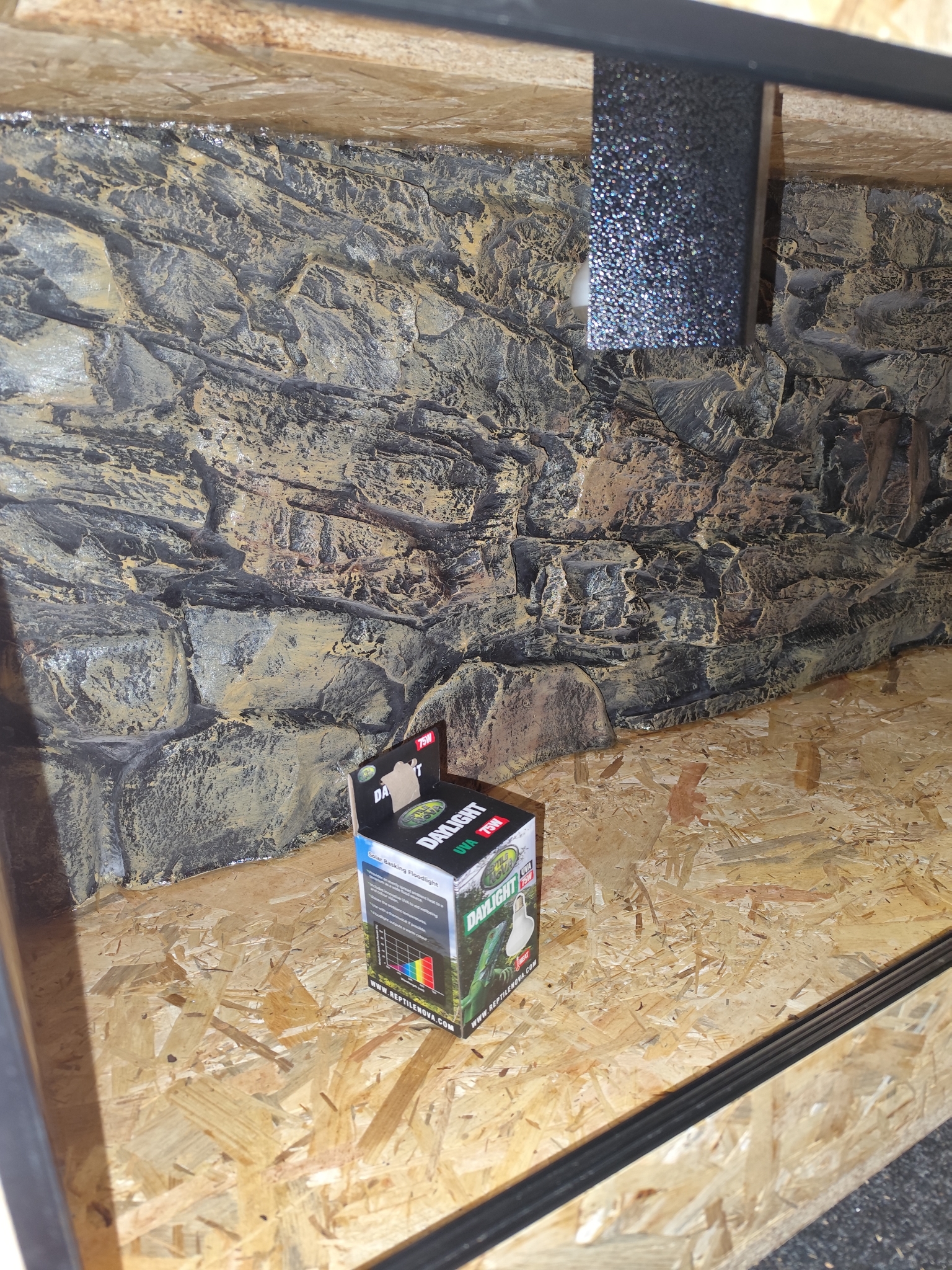 Osb3 terrarium 121/50/57,5 polyester achterwand (4)