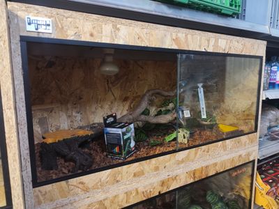 Osb3 terrarium 100/45/50 ingericht (1) Osb3 terrarium 100/45/50 ingericht (1)