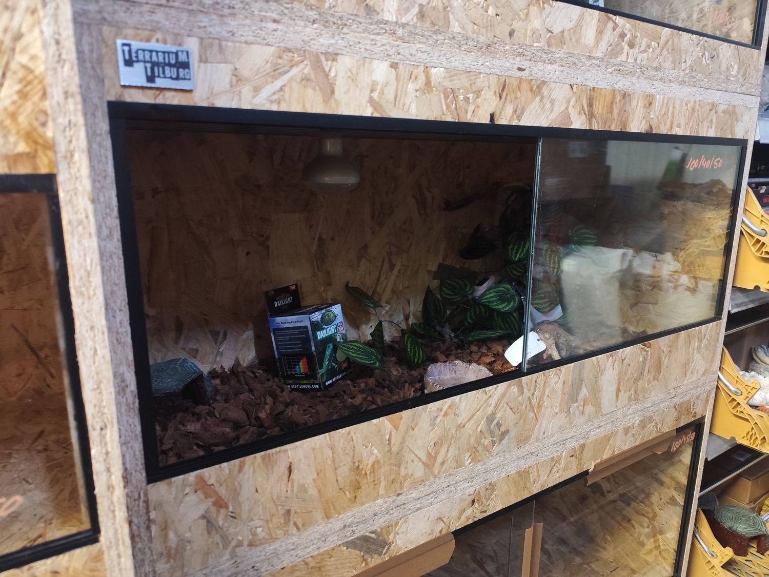 Osb3 terrarium 100/40/50 ingericht (2) Osb3 terrarium 100/40/50 ingericht (2)