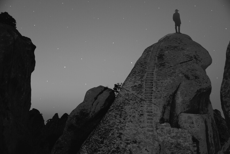 L&#39; uomo delle stelle