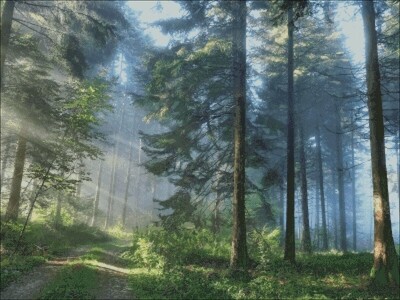 SCENERIES