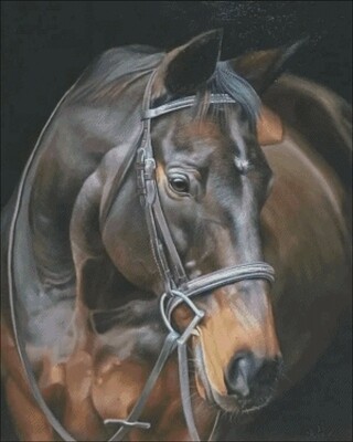 Horses