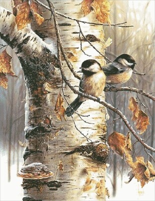 Birds, insects